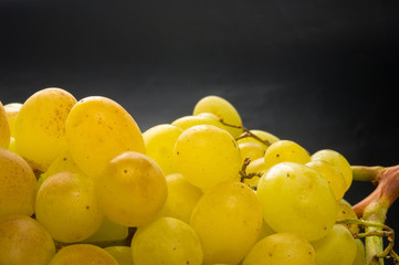 Large grapes cluster