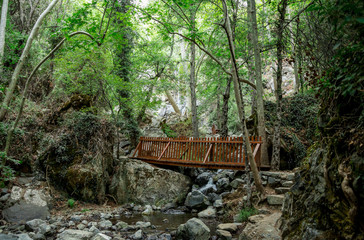 A small wooden bridge over a stream on a way to Caledonia waterfall near Platres, Cyprus - obrazy, fototapety, plakaty