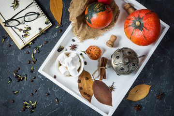 Homemade cocoa with marshmallows, spices and pumpkin, cozy autumn still life, autumn mood concept, seasonal craft decor, hugge lifestyle