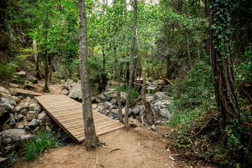 A wooden bridge over a small river on a way to Caledonia waterfall near Platres, Cyprus - obrazy, fototapety, plakaty