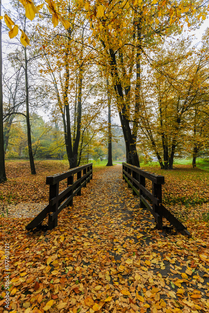 Poster scenic view of misty autumn landscape with beautiful old bridge in the garden with red maple foliage