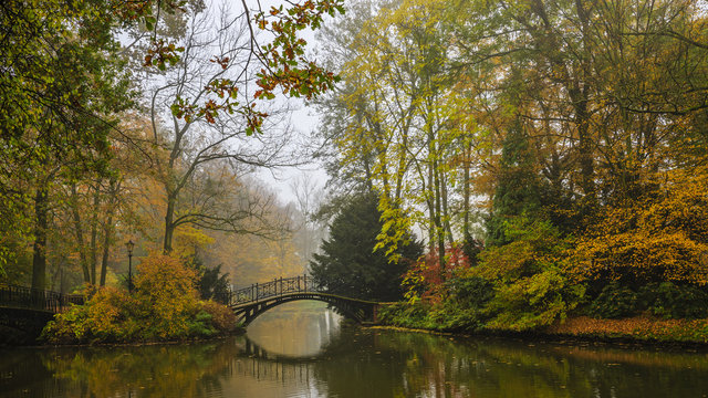 Scenic view of misty autumn landscape with beautiful old bridge in the garden with red maple foliage.