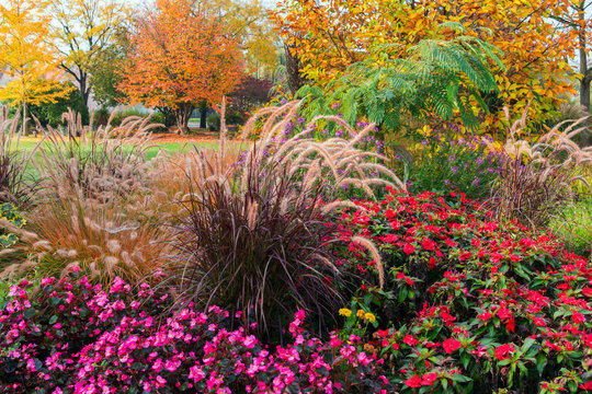 A piece of garden in autumn