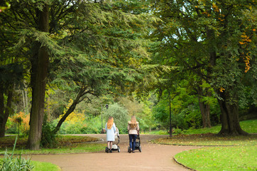 Two happy mothers with their baby strollers walking together in park. Motherhood