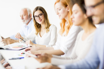 Businesspeople working in team