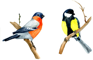 Watercolor illustration "Birds"