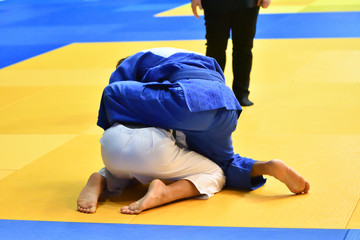 Two judoka on the tatami