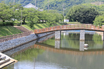 Fototapeta na wymiar 日本の公園