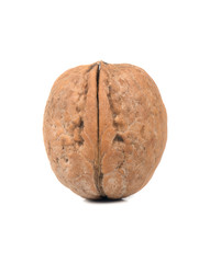 Walnut isolated