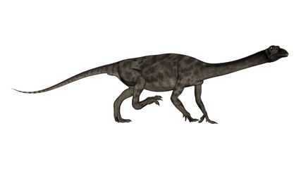 Obraz na płótnie Canvas Anchisaurus dinosaur -3D render