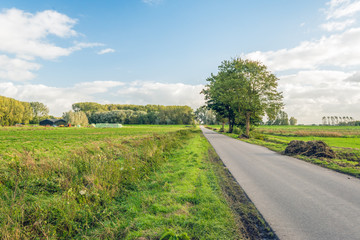 Fototapeta na wymiar Dutch rural landscape in the fall season