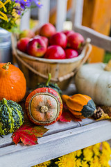 Pumpkins and autumn decorations on the wooden terrace. 
