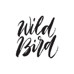 Vector illustration: Handwritten grunge brush lettering of Wild Bird on white background