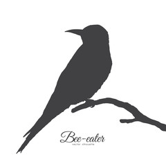 Vector illustration: Silhouette of Bee-eater sitting on a dry branch.