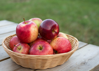 Fresh red yellow apples  in wicker plate on wooden table. Concept for seasonal fruits, autumn harvest and agriculture.