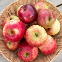 Fresh red yellow apples  in wicker plate on wooden table. Concept for seasonal fruits, autumn harvest and agriculture.