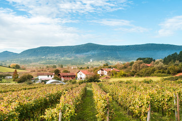 Fototapeta na wymiar beautiful rural village of basque country, Spain
