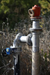 Fire hydrant installed near the forest
