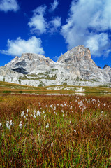 Vista della montagna