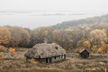 autumn landscape