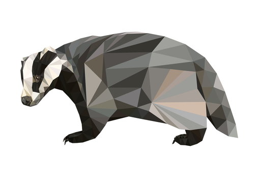 picture polygon shape badger