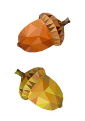 polygon picture two colored acorn © sfischka