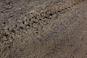 The track from the caterpillar tractor on a dirt road