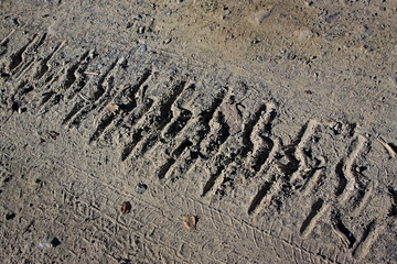 The track from the caterpillar tractor on a dirt road
