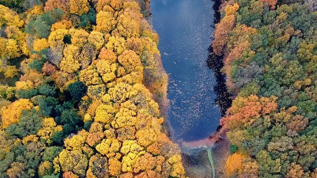 Aerial view on forest in autumn cloudy light. Average rural view. 