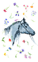 Watercolor hand drawing horse head with wild flowers on white. Hand painting illustration.