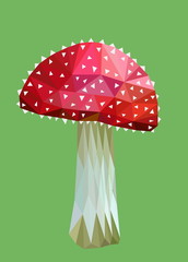 polygon picture agaric mushroom