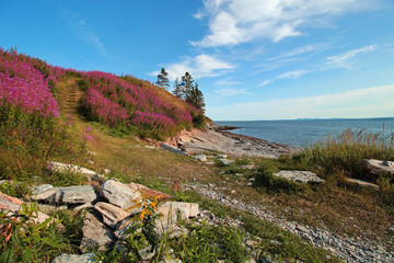 Küste Parc National Forillon