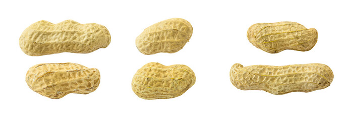 Peanut isolated on white background (clipping path included)