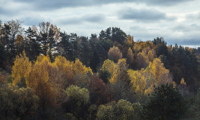 Colors of autumn