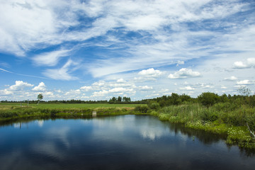 Small pond, meadow and sky