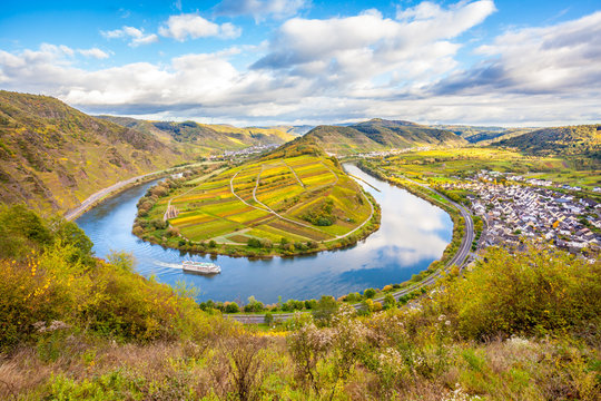 Calmont Moselle loop Landscape in  autumn colors Travel Germany