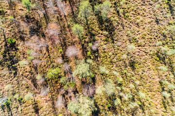 Autumn in Sumava, National Park, Czech Republic