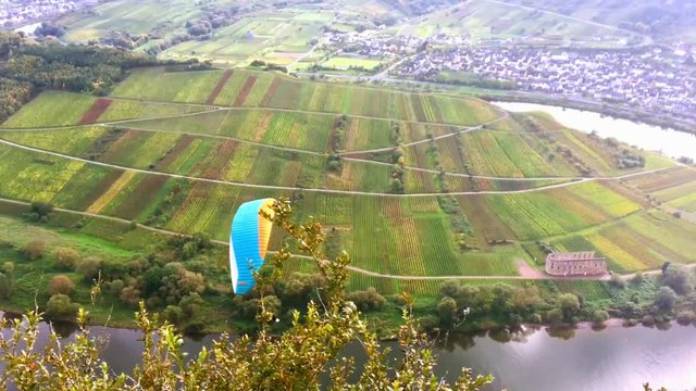 Paragliding flight over the Moselle loop landscape calmont at Bremm Germany
