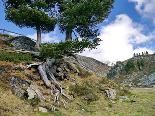 Schweiz Fluelapass 8