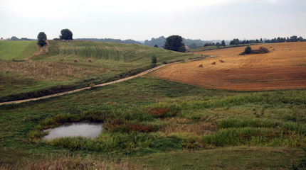 Obraz premium summer in Poland - hey, water pond and grass