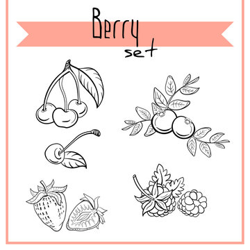 Berry Set 1