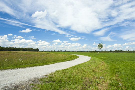 Rural winding road and meadow