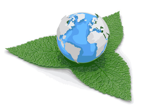 3d Globe on leaves. Image with clipping path 