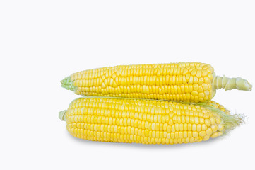 Sweet corn is delicious and ready to eat. Vegetables are beneficial to the body, have vitamins and delicious taste. on white background