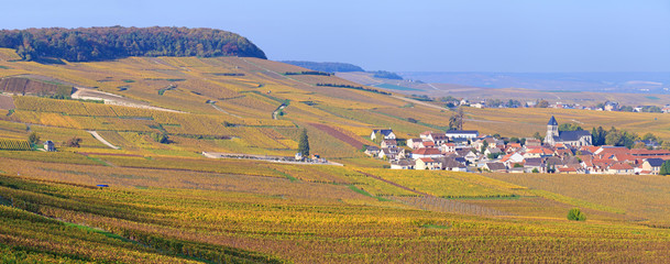 Obraz premium Champagne, village de Oger en automne
