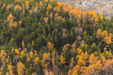 Fototapeta premium Mountain landscape on a cloudy autumn day in Russia, Syberia