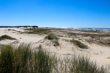 South Stradbroke Island Gold Coast National Park Australia sand dunes sand