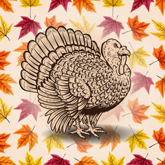 Happy Thanksgiving. Hand drawn lettering on background with leaves and turkey silhouette. Design element for poster, card, banner. Vector illustration