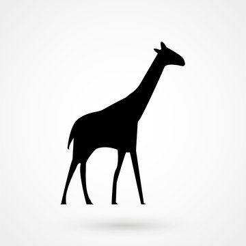 Simple icon of a giraffe.