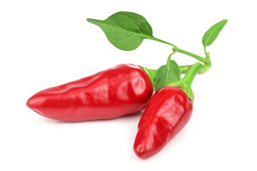 Red chili pepper with leaf isolated on a white background